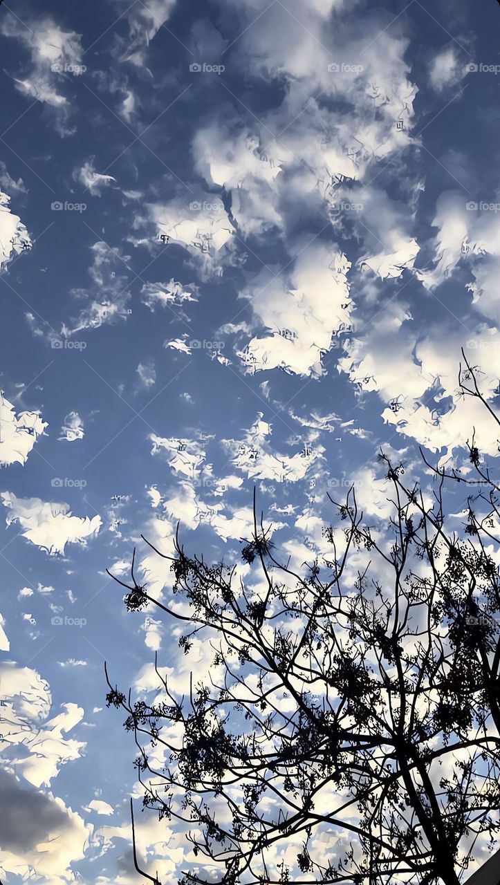 Clouds with tree trunks 