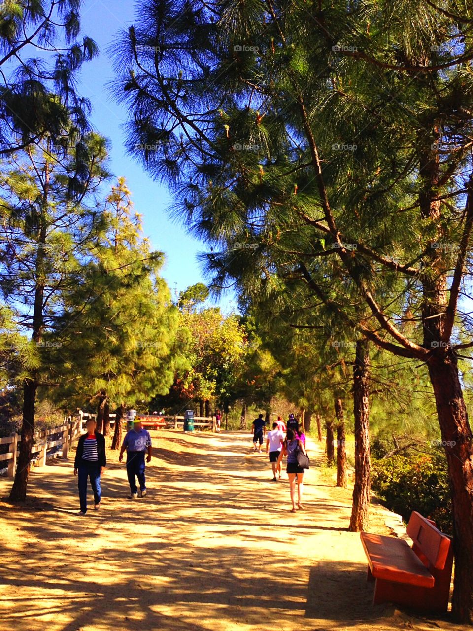 Hiking at Griffith Park in Los Angeles, California. 