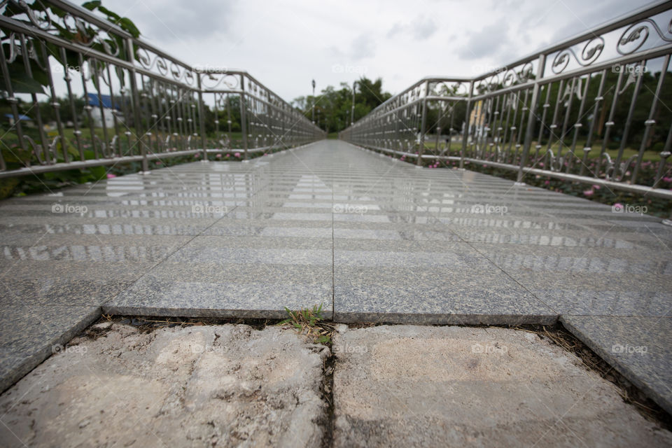 Bridge in the pond 