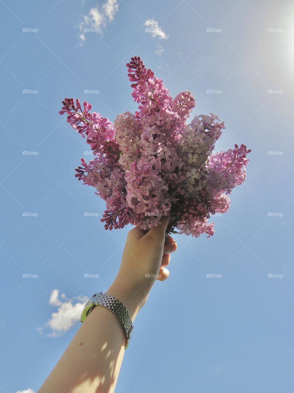 Bouquet of Pink Lilacs