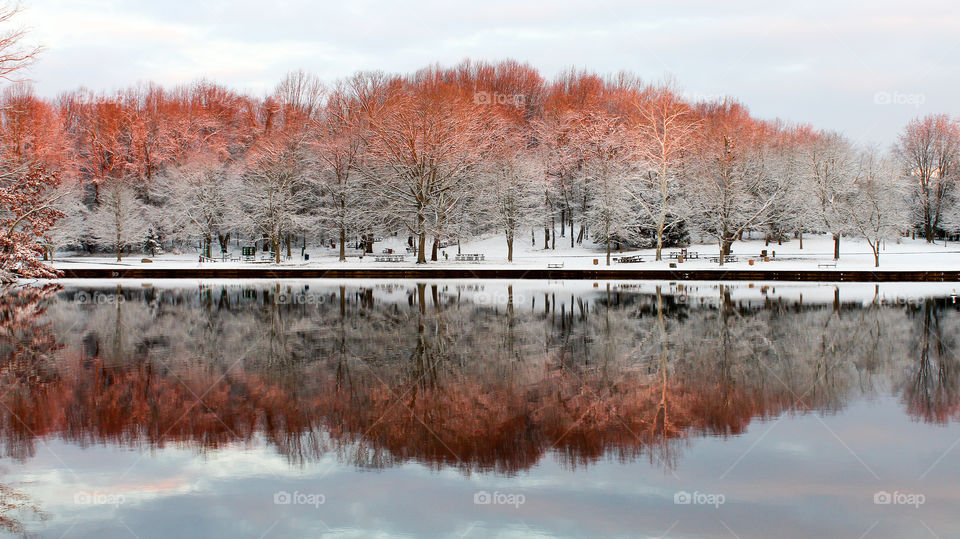 Winter Wonderland after the first snow - sun-kissed treetops glowing red reflecting on a still pond