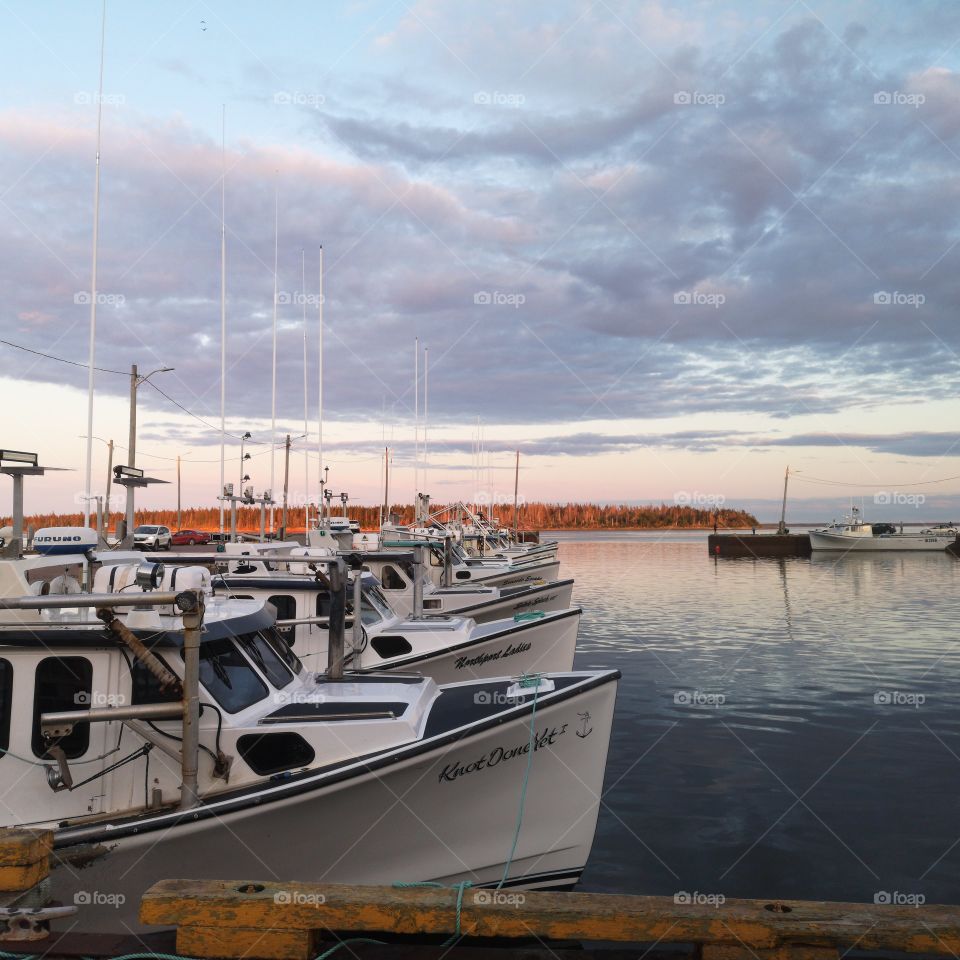 aligned fish boats on the port of Northport, Prince-Edward Island