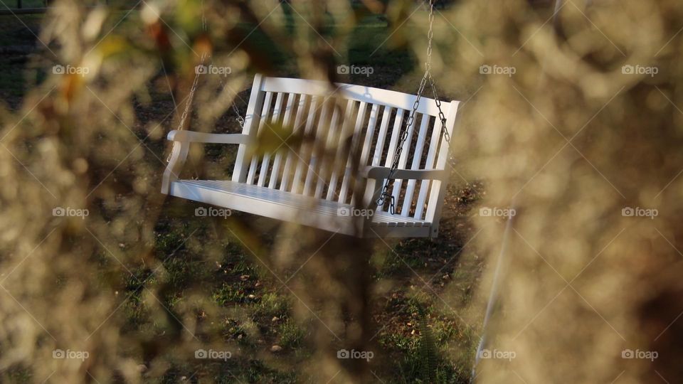 Dreams... swing set of dreams seen through the hazy lens of Spanish moss