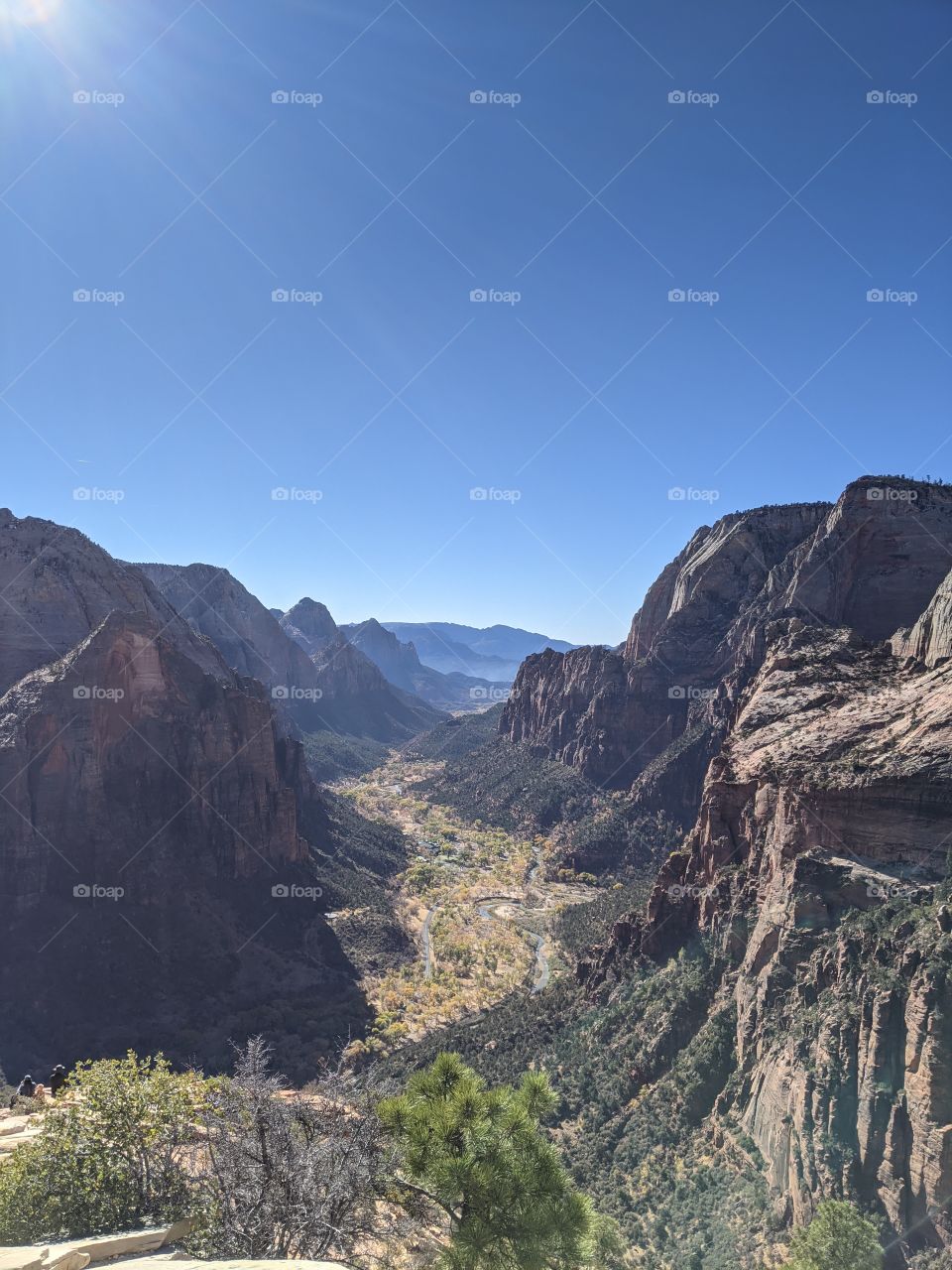 The View from Angels Landing in Zion National Park