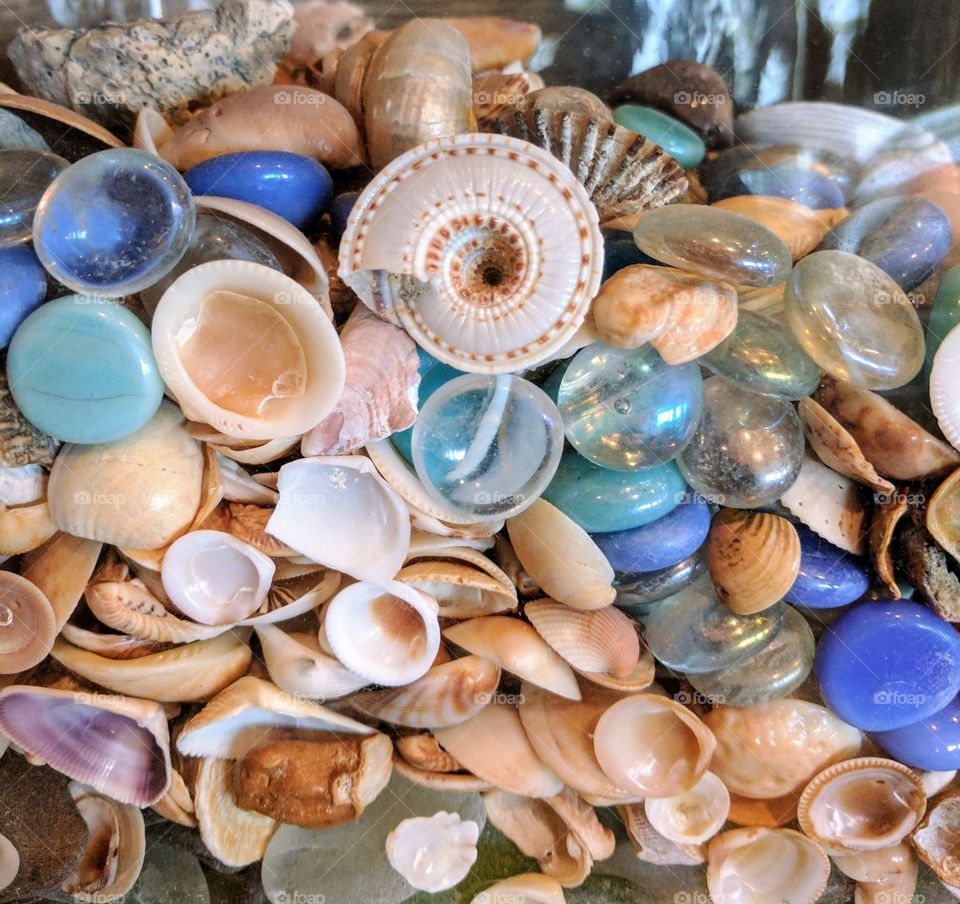 so many shells
