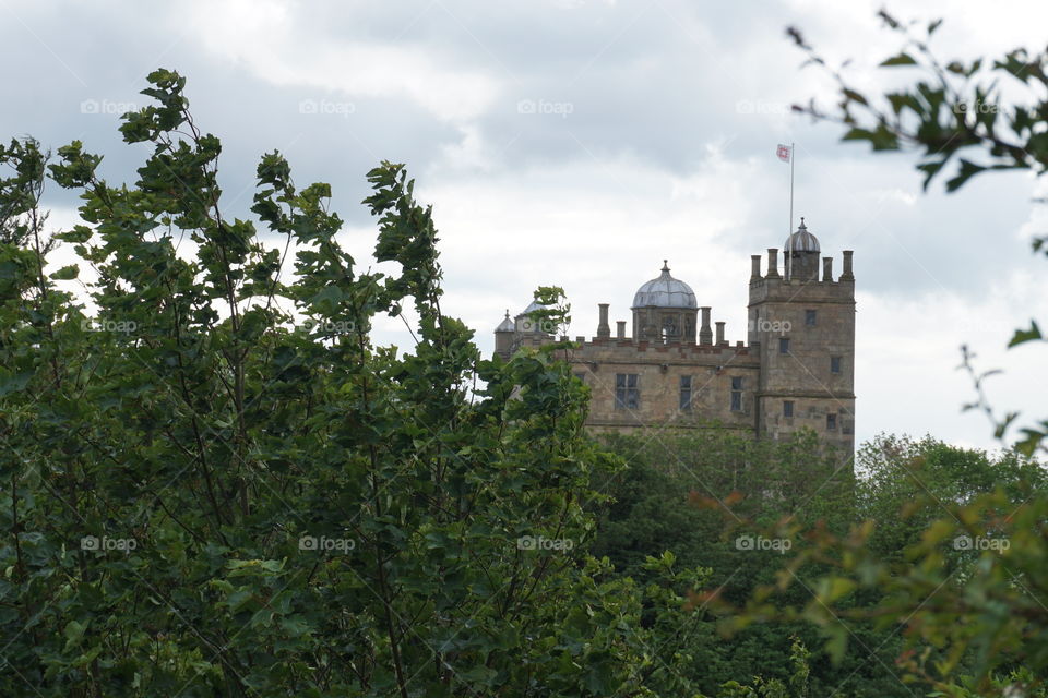 Castle view ...Peeping out between the trees..