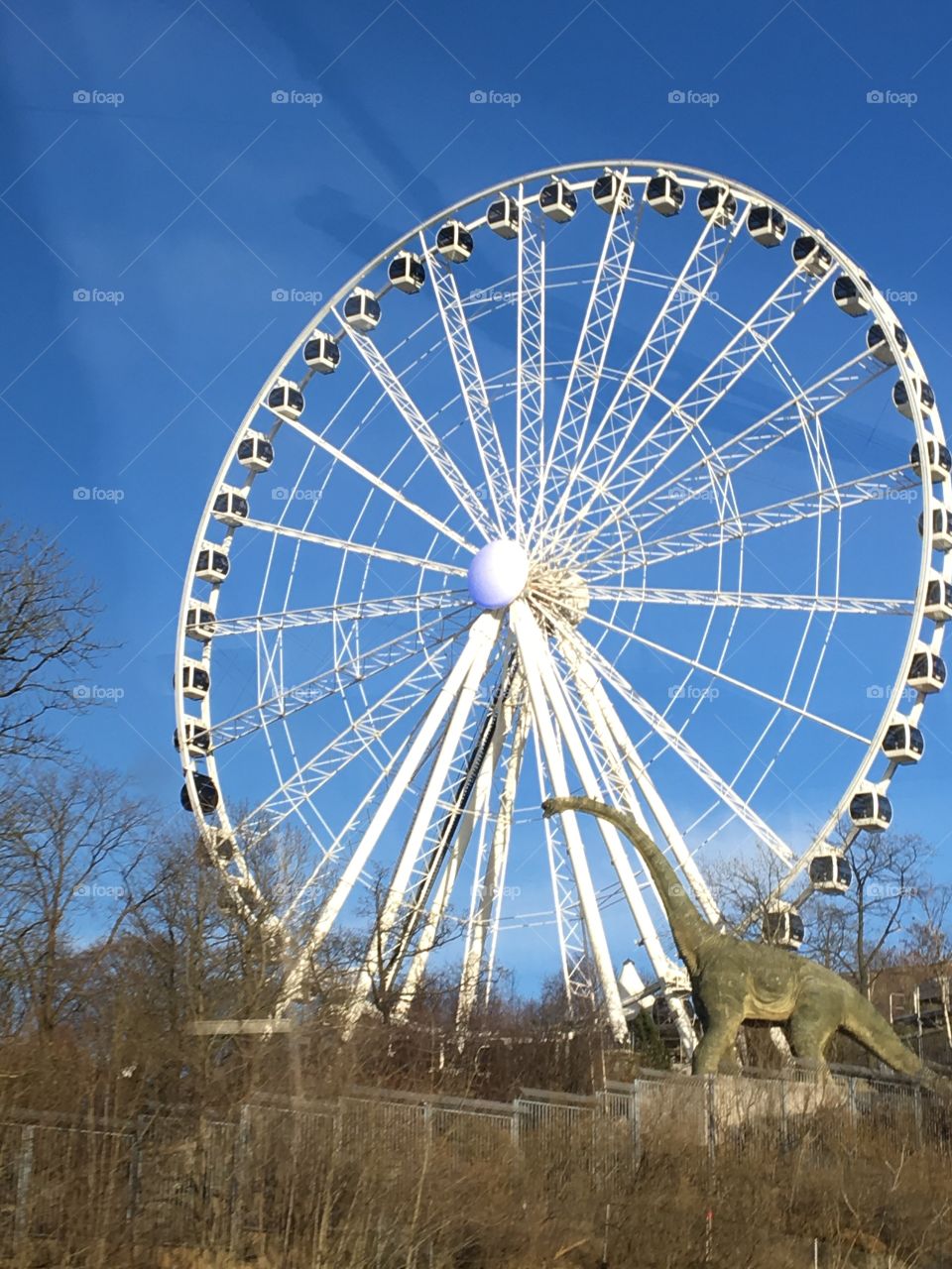 Wheel