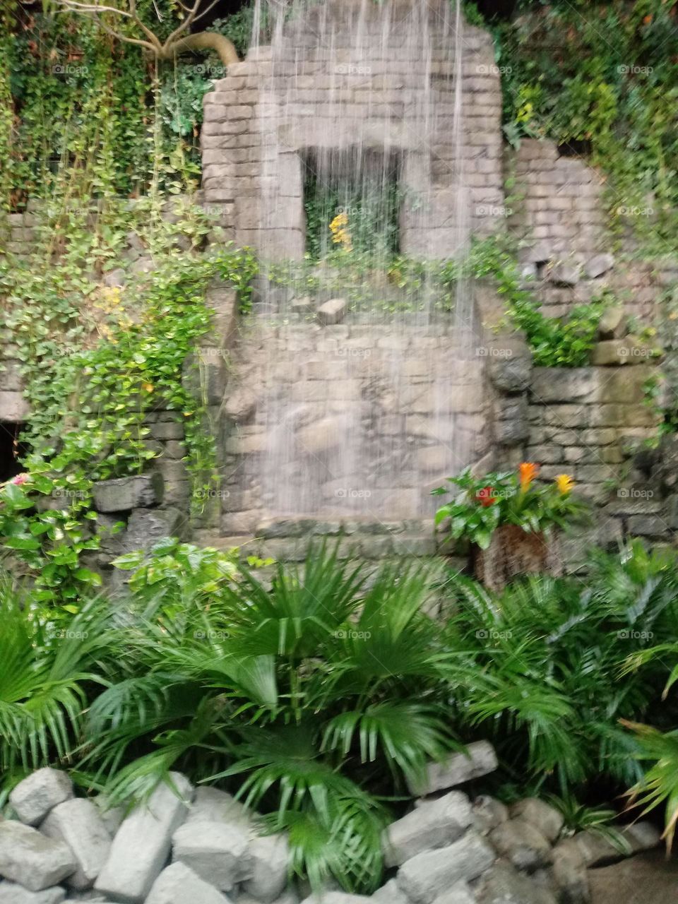 Constructed waterfall with leafy plants surrounding it