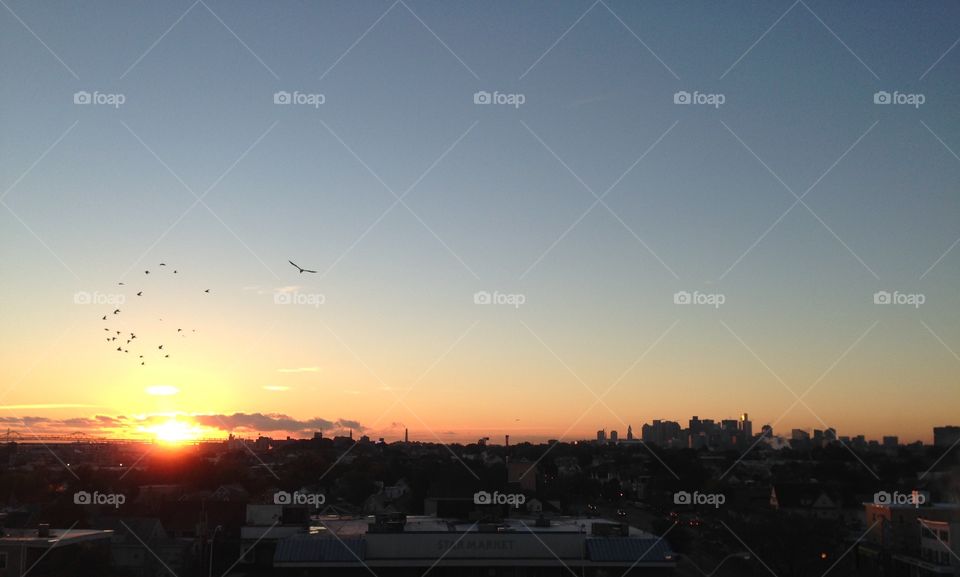 Just be like a bird in a sunset