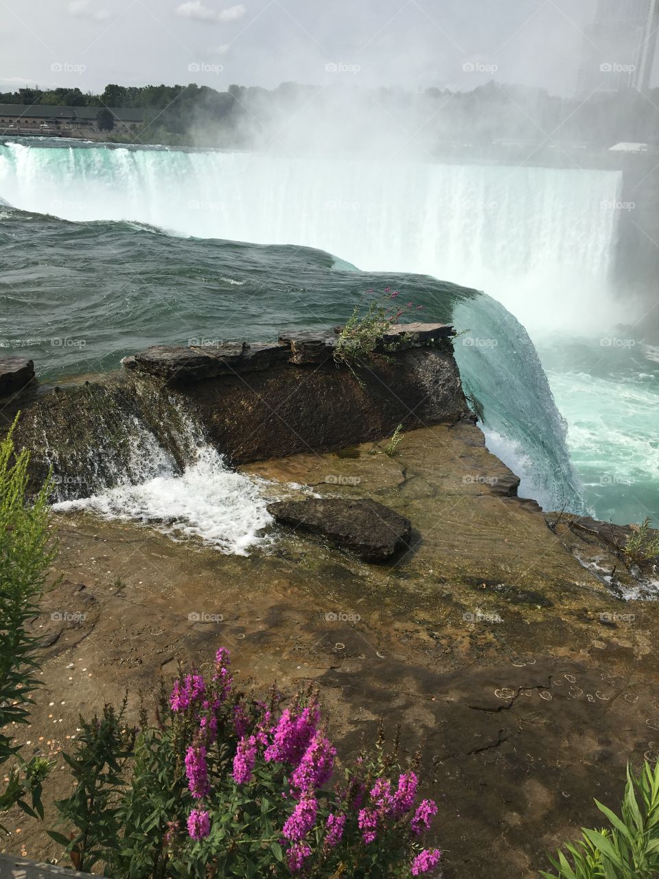 Falls and flowers 