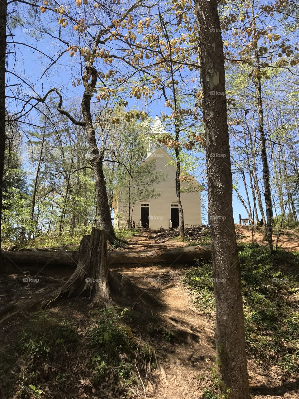 Jesus in the mountains 