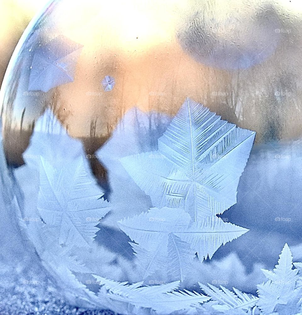 Ice crystals inside a bubble