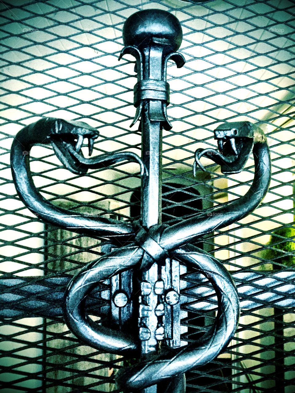 Snake serpent sculpture in steel intertwining in front of a steel wire mesh door