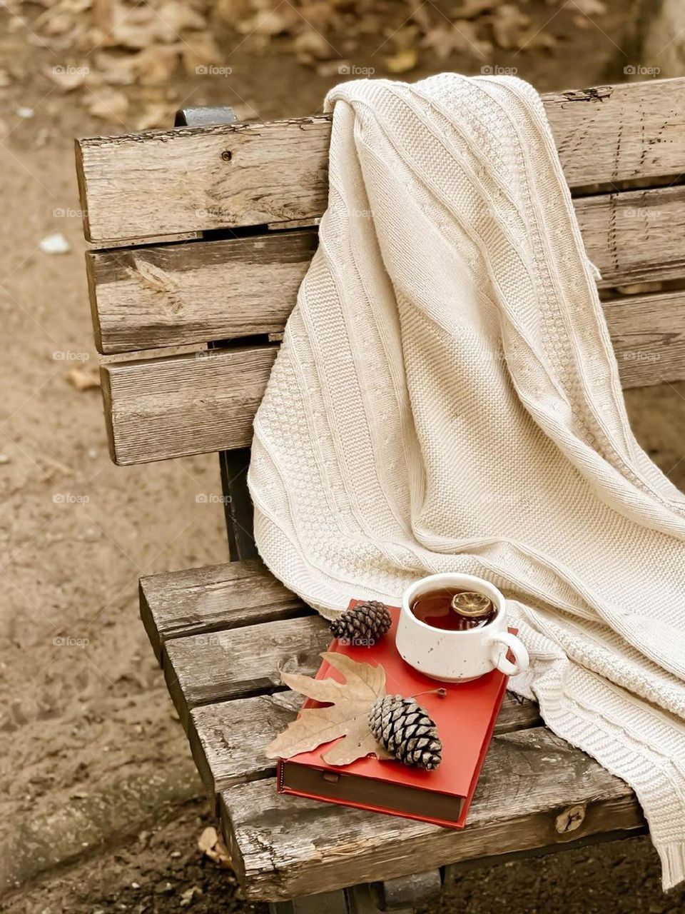 Fall!! the season of orange romance! I like to taste hot lemon tea while reading a book in the cold weather, with my grandmother's sweater among the yellow leaves of trees ...