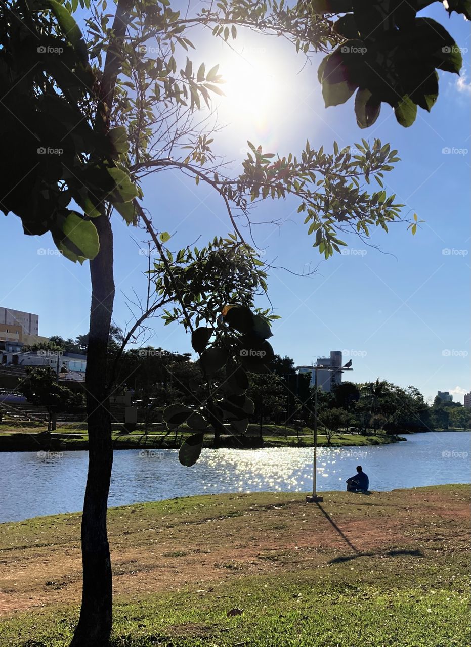 This wonderful sunshine in Lagoa, shows that nature reserves moments and times for us to reflect in peace! / Esse maravilhoso brilho do sol na Lagoa, mostra que a natureza nos reserva momentos e horários para refletirmos em paz!