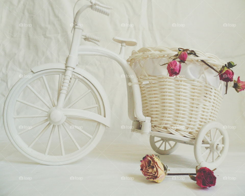 decorative toy bike and dried rose buds