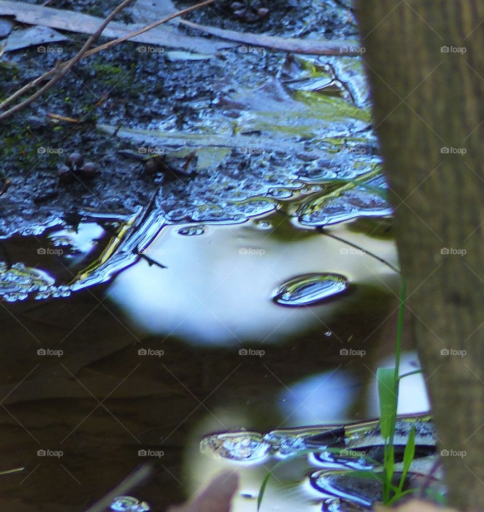 Iridescent reflection in pond