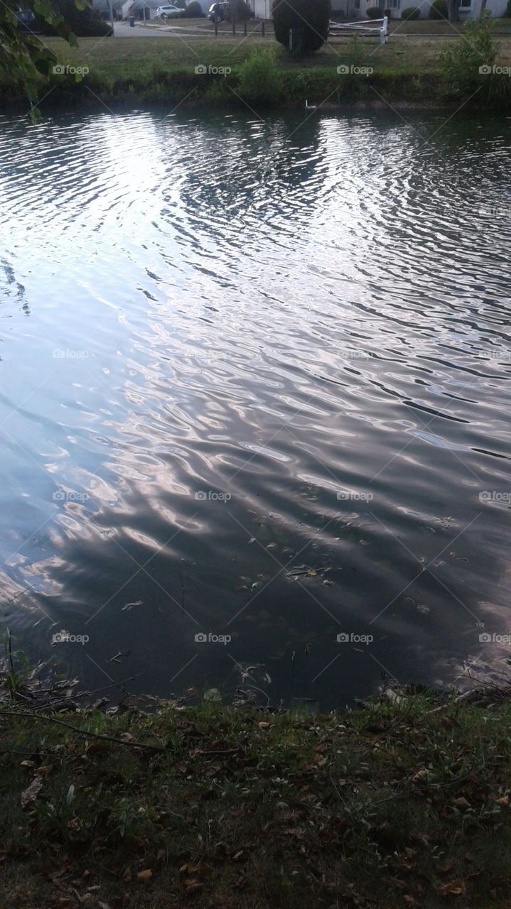 Sunlit Ripples on a Fountain Pond