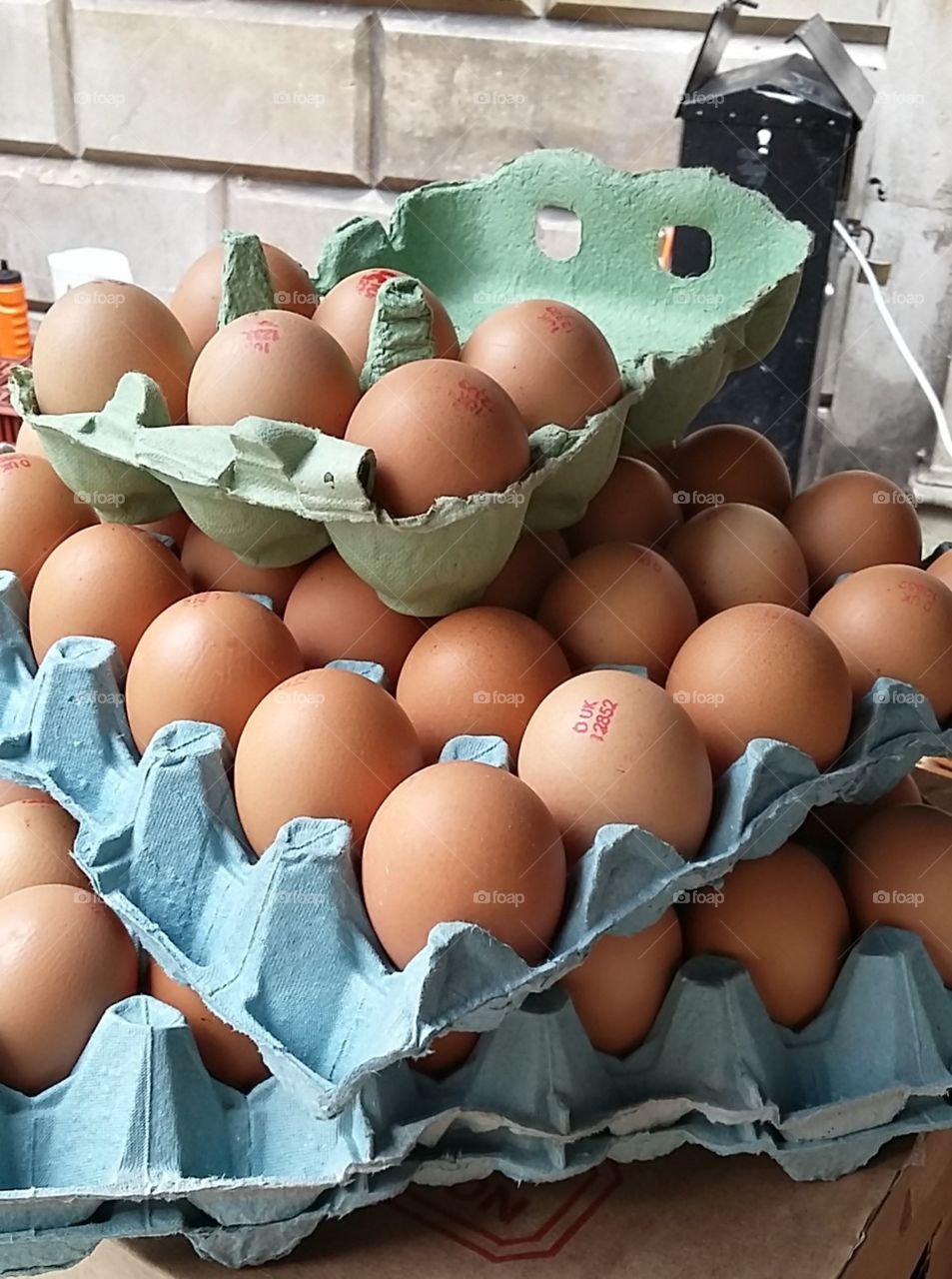 Fresh Eggs