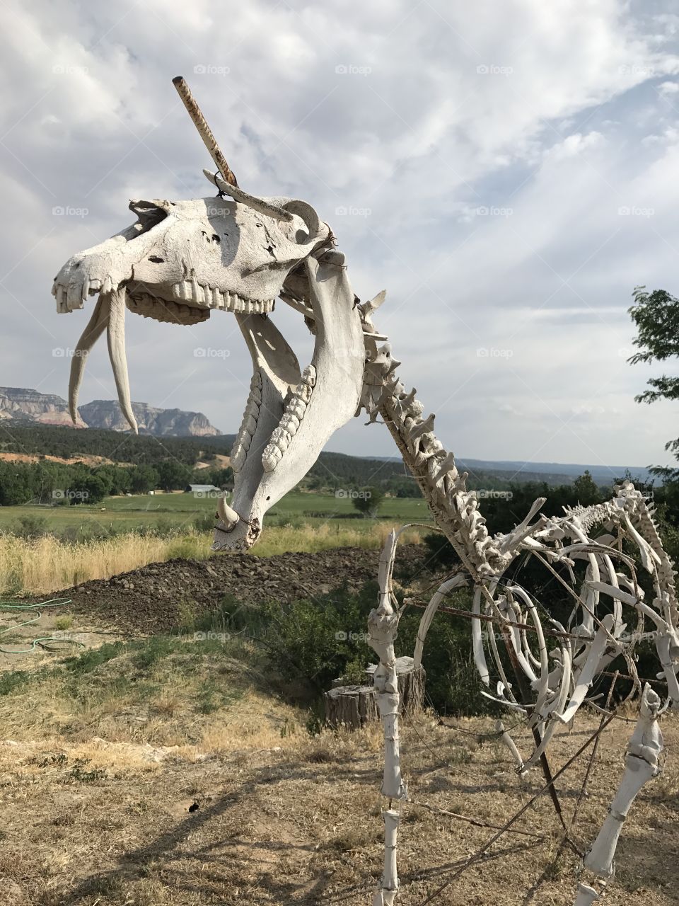 Skeleton statue found in southern Utah