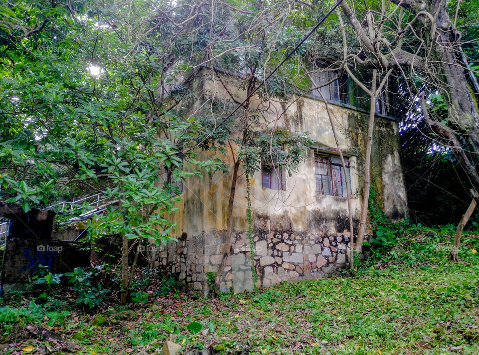 An abandoned house among trees in the evicted fishermen village on Ma Wan Island, Hong Kong