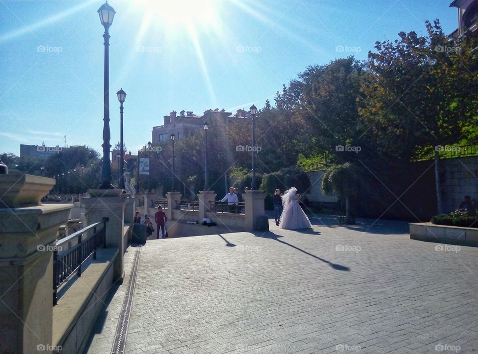People, City, Landscape, Tree, Water