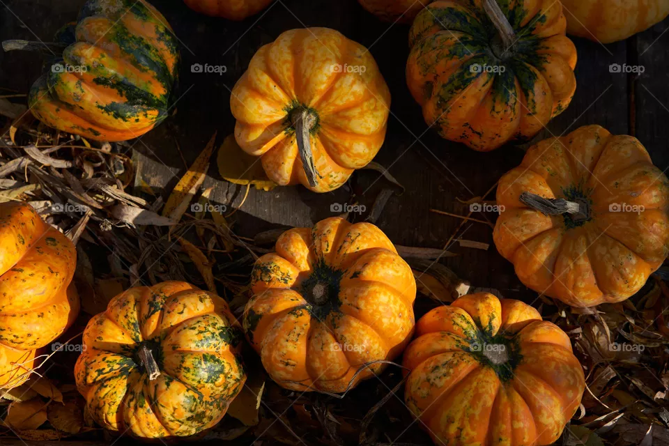 Pumpkins