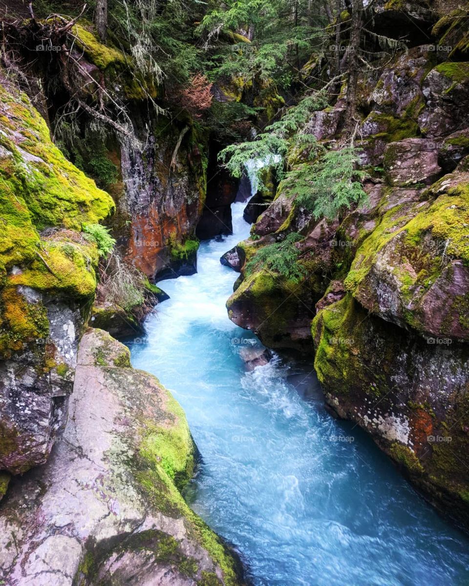 Avalanche Creek in Glacier National Park in Montana