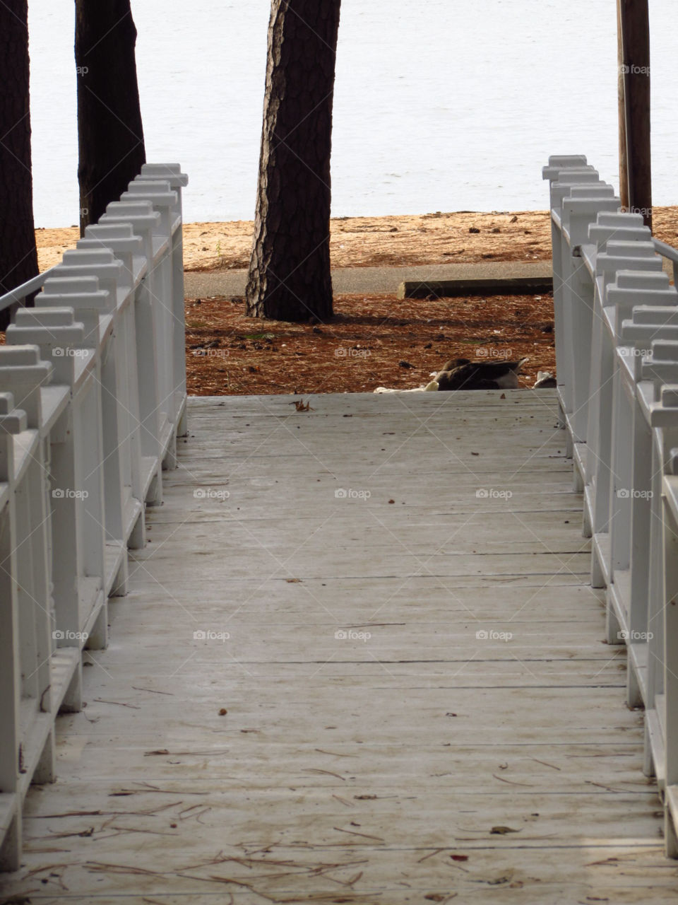 Bridge over the duckpond in Fairhope Alabama