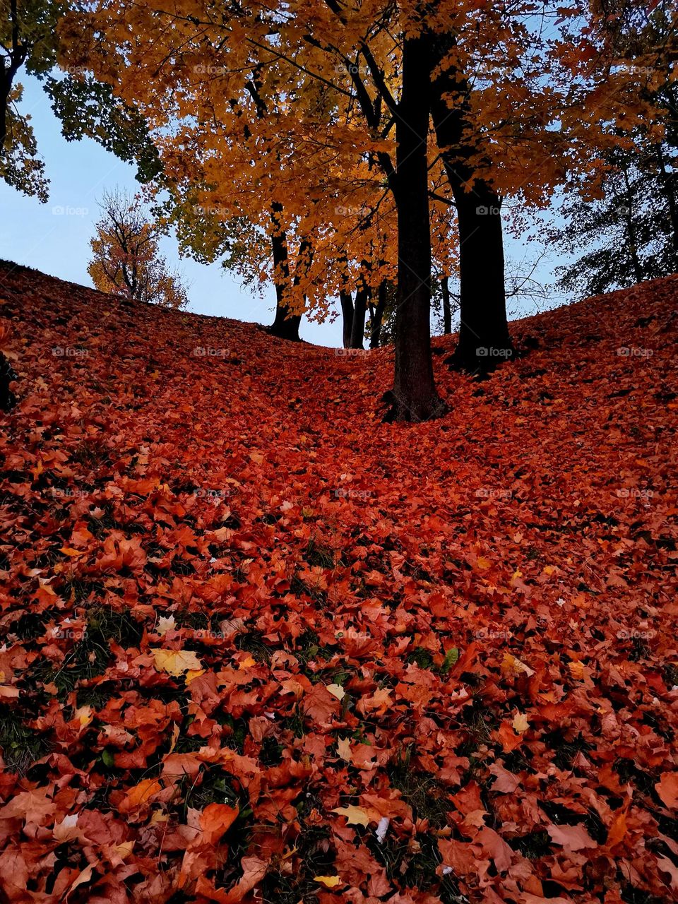 Autumn @milanabakhorina