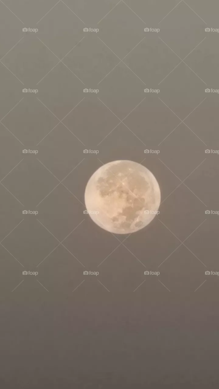 Yellow moon