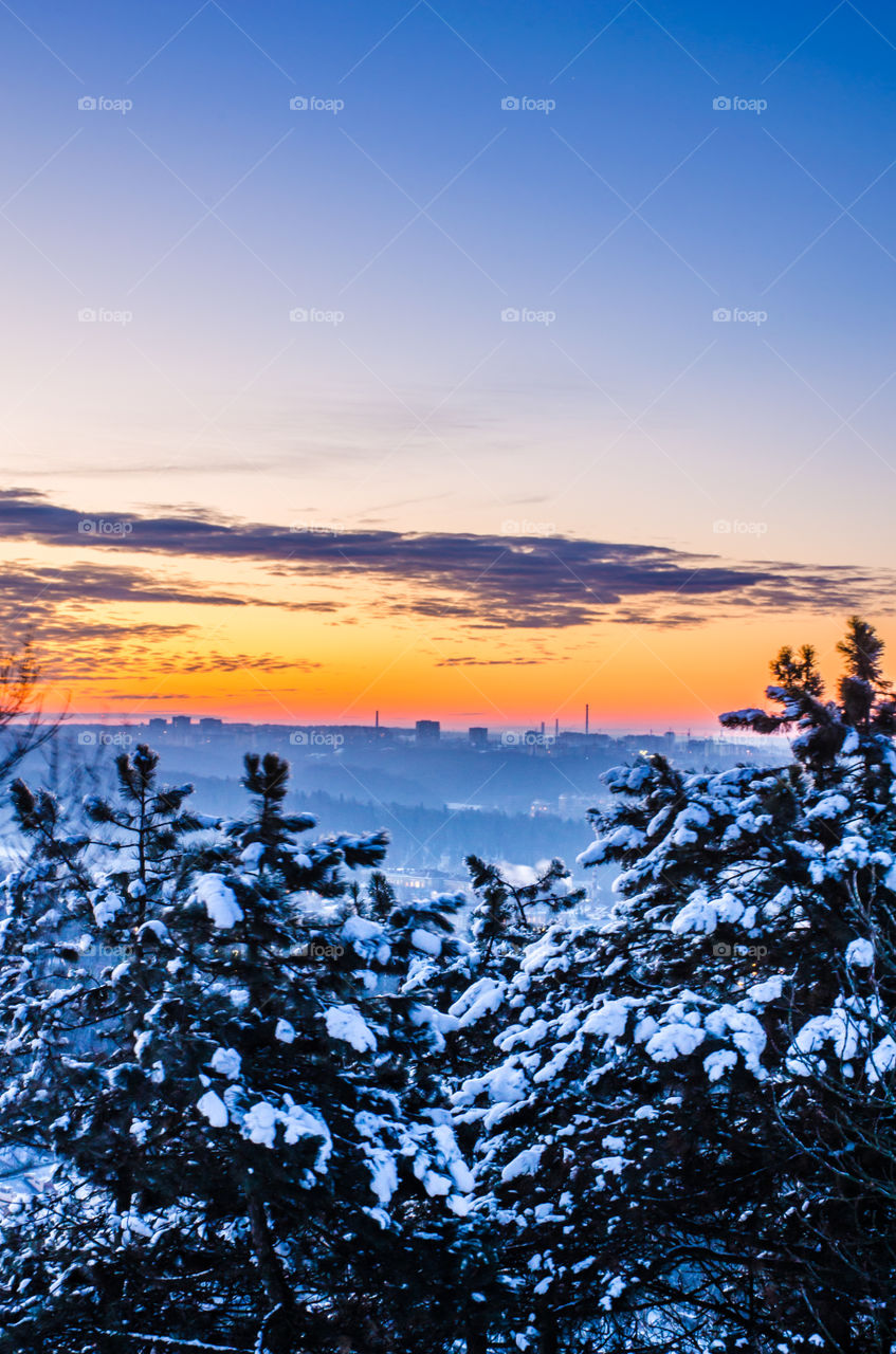 Nature landscape during sunset