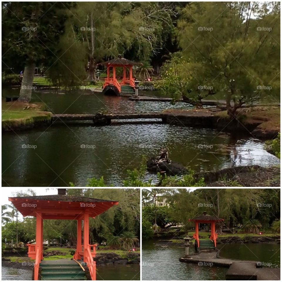 Bridge over small lake in park