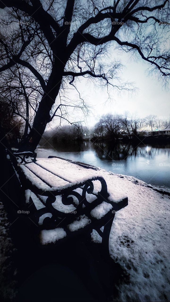 Winter blues and snowy views