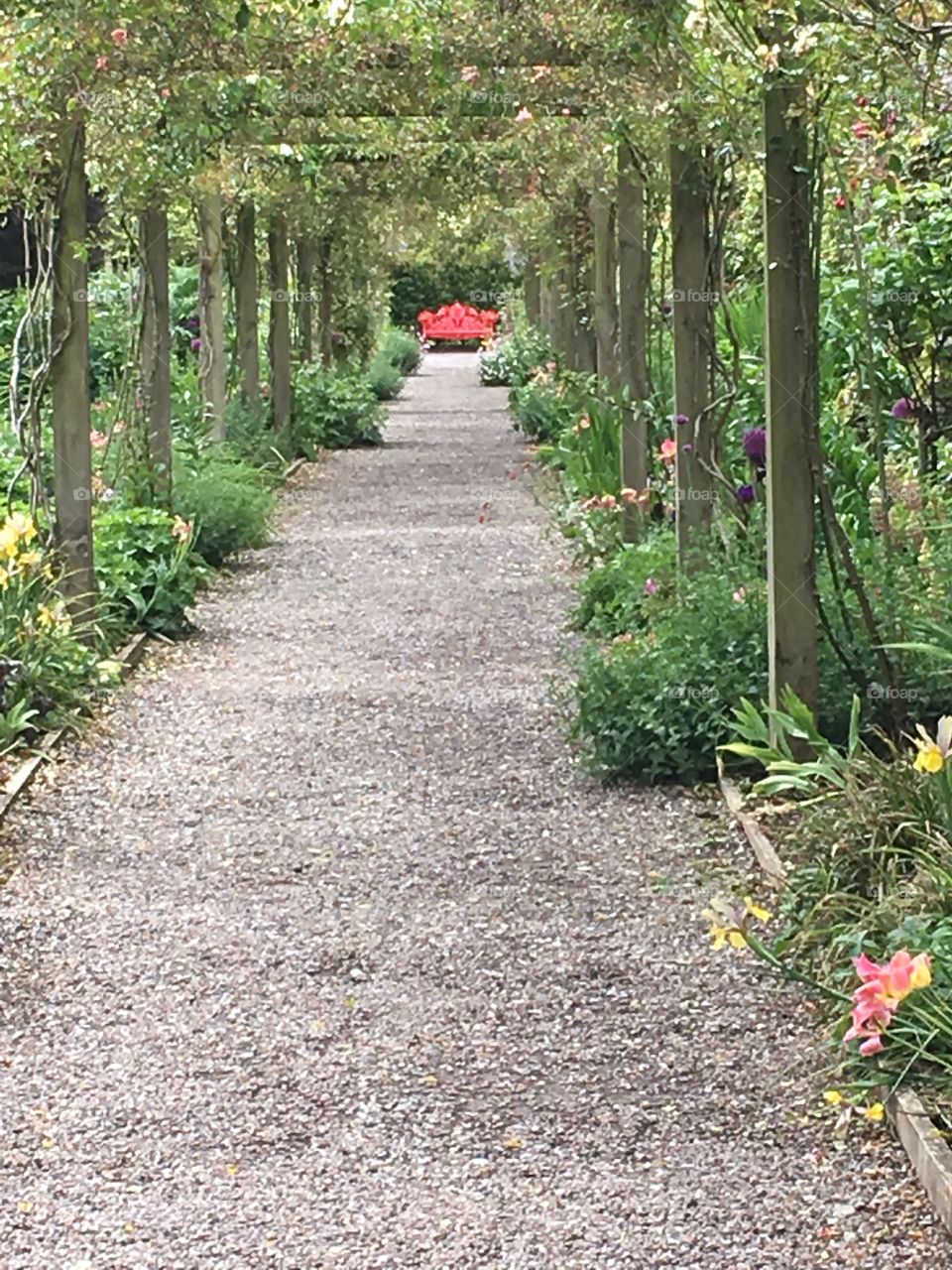 Grounds at the Blarney House 