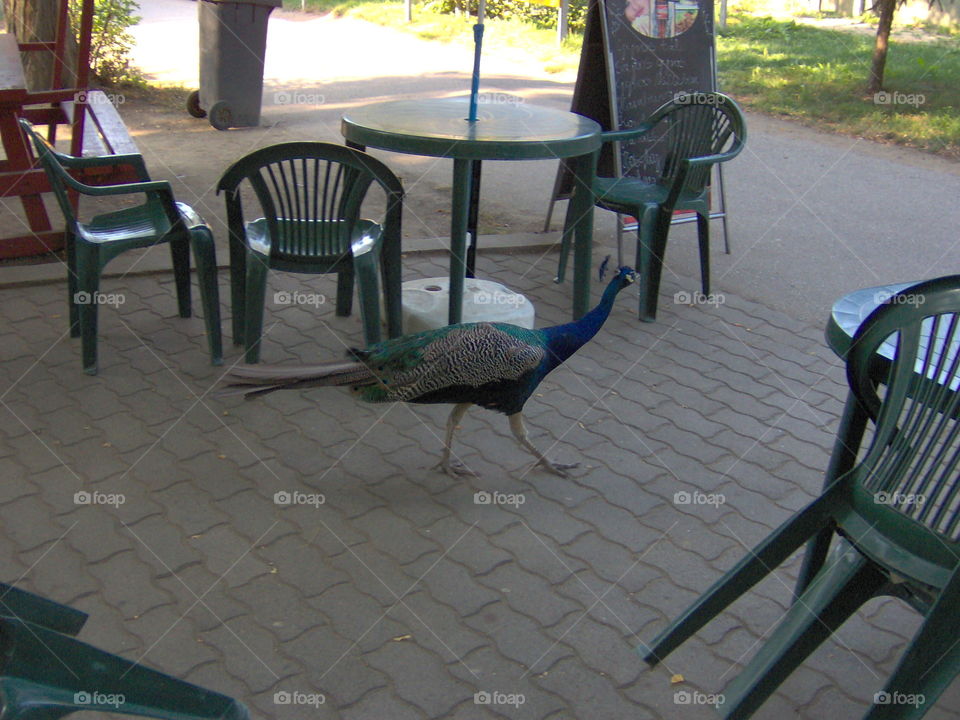 I like to eat something, could you suggest something for my stomach? :)