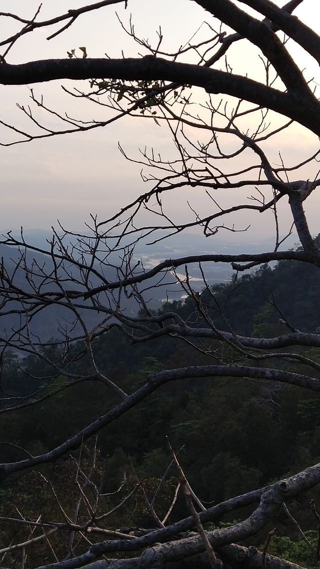 mountain