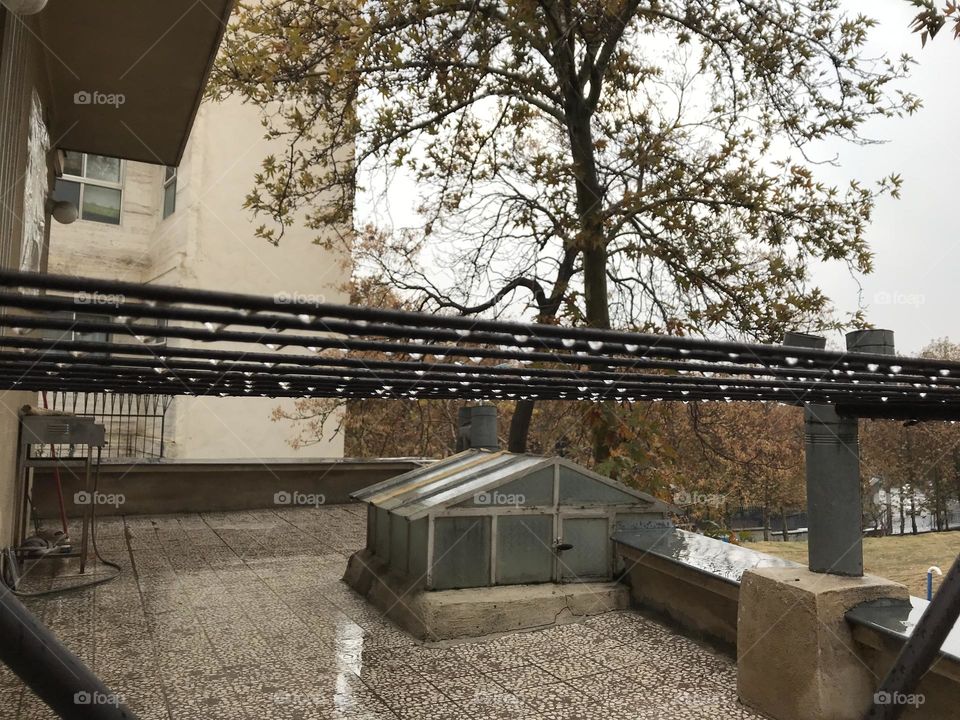 Drying raindrops on a clothes drying rack. Only angels know what pegs to use. 