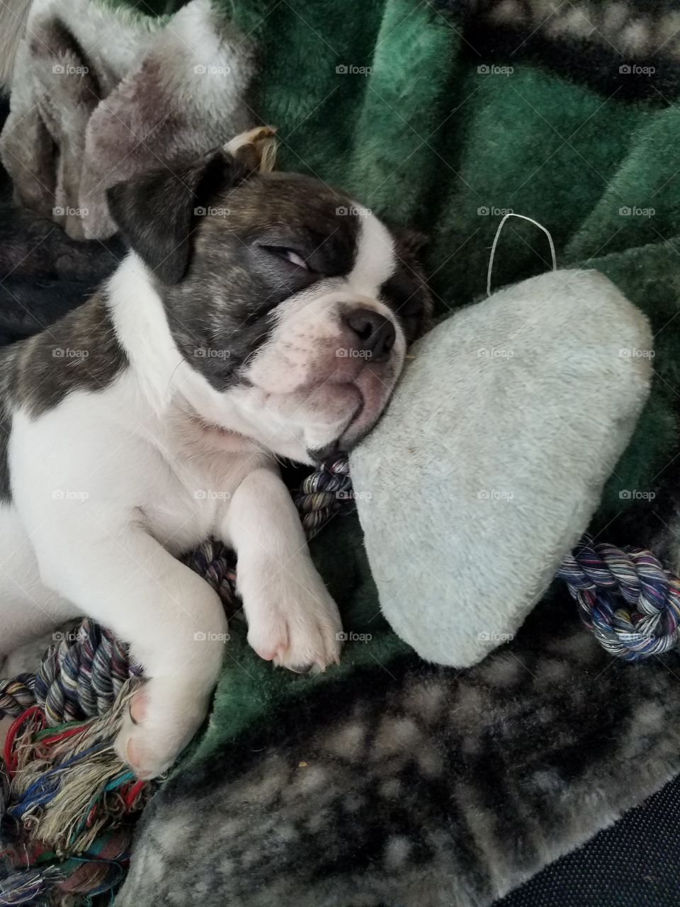 Asleep with his toys