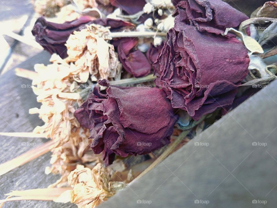 Despite being dried, the flowers are still beautiful and they create a wonderful effect and an appealing sight that tells the stories of these roses' memories.