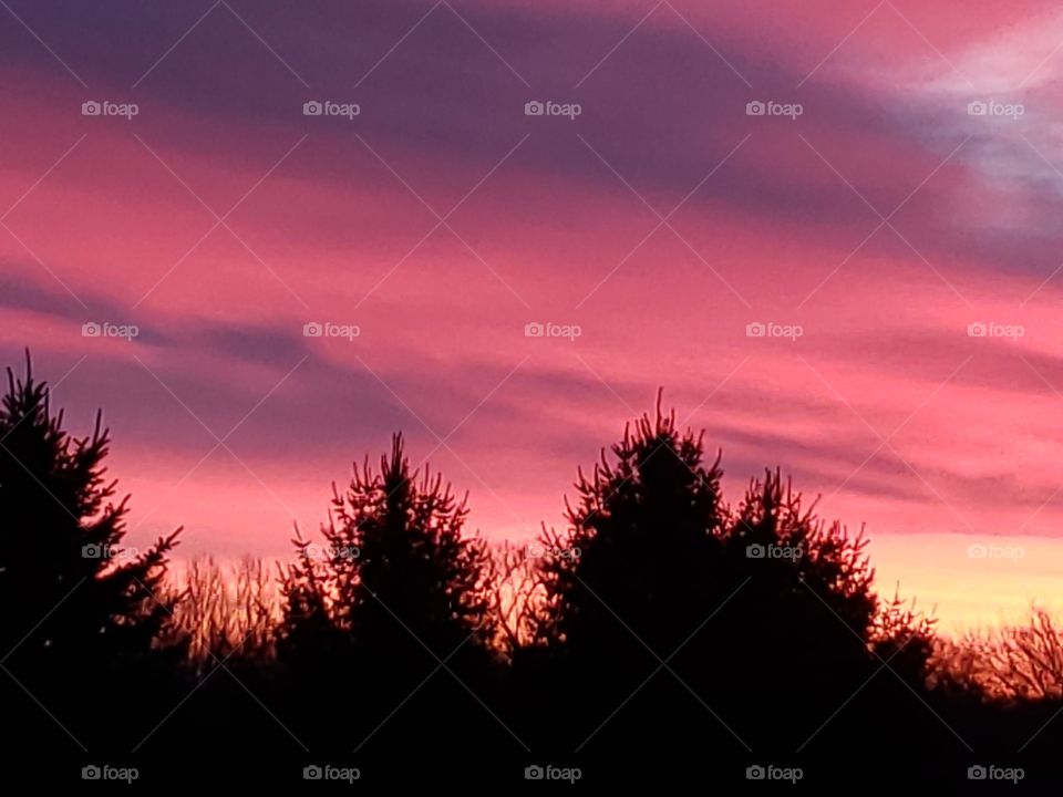 sunrise pink 2