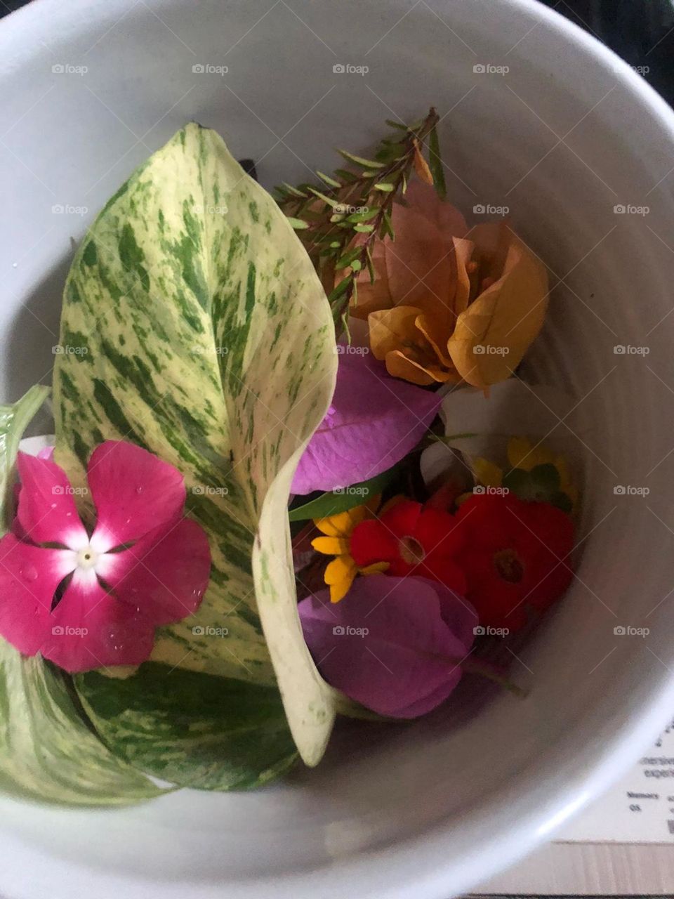 some flowers are placed in a container or better known as some flowers are placed in a container or better known as a pot