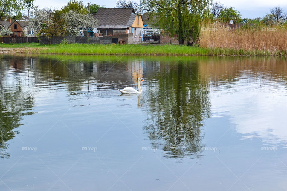 Take me to the river