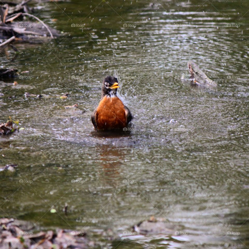 Splashing around 