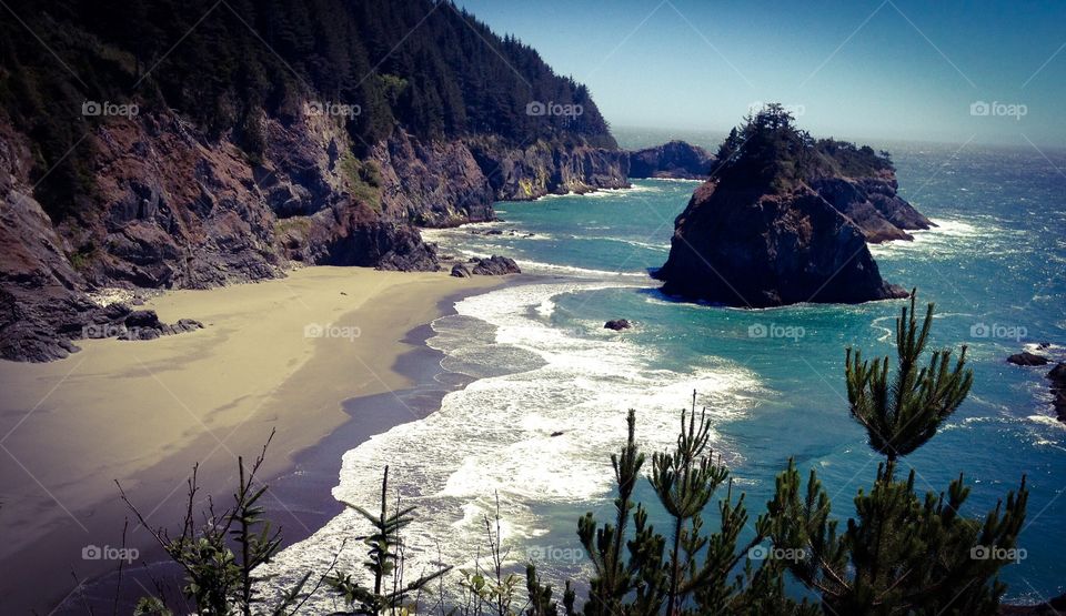 Oregon coastal scene