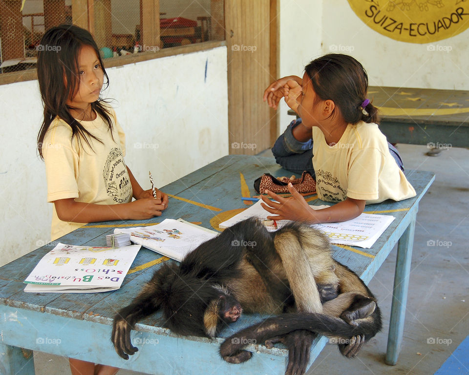 Monkey Business at School