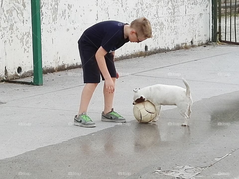 Dog playing football