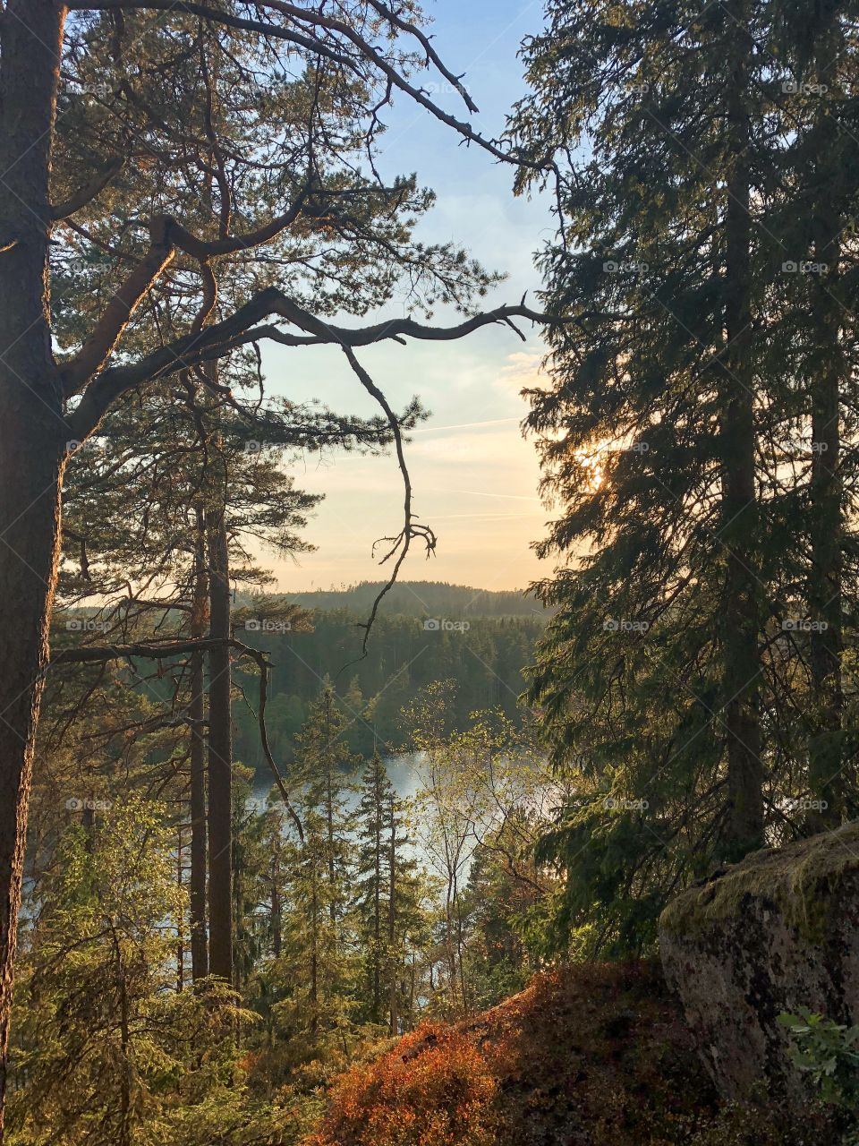 Beautiful scenery, mountain view. Lake, trees and golden hour. Landscape, nature, peaceful