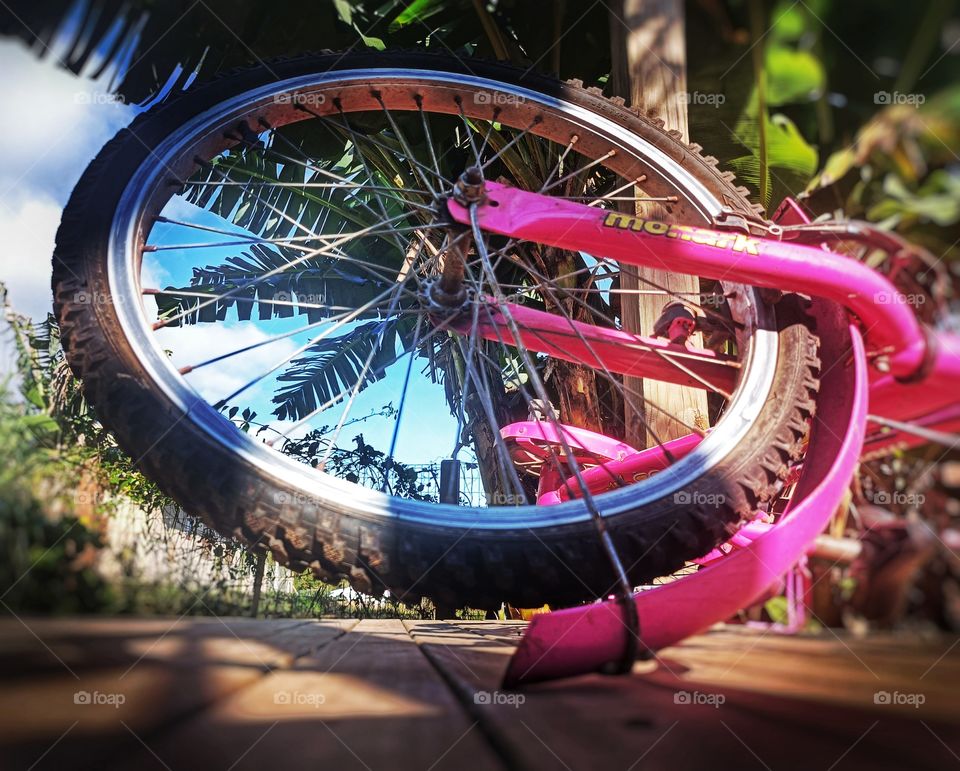 bicycle wheel