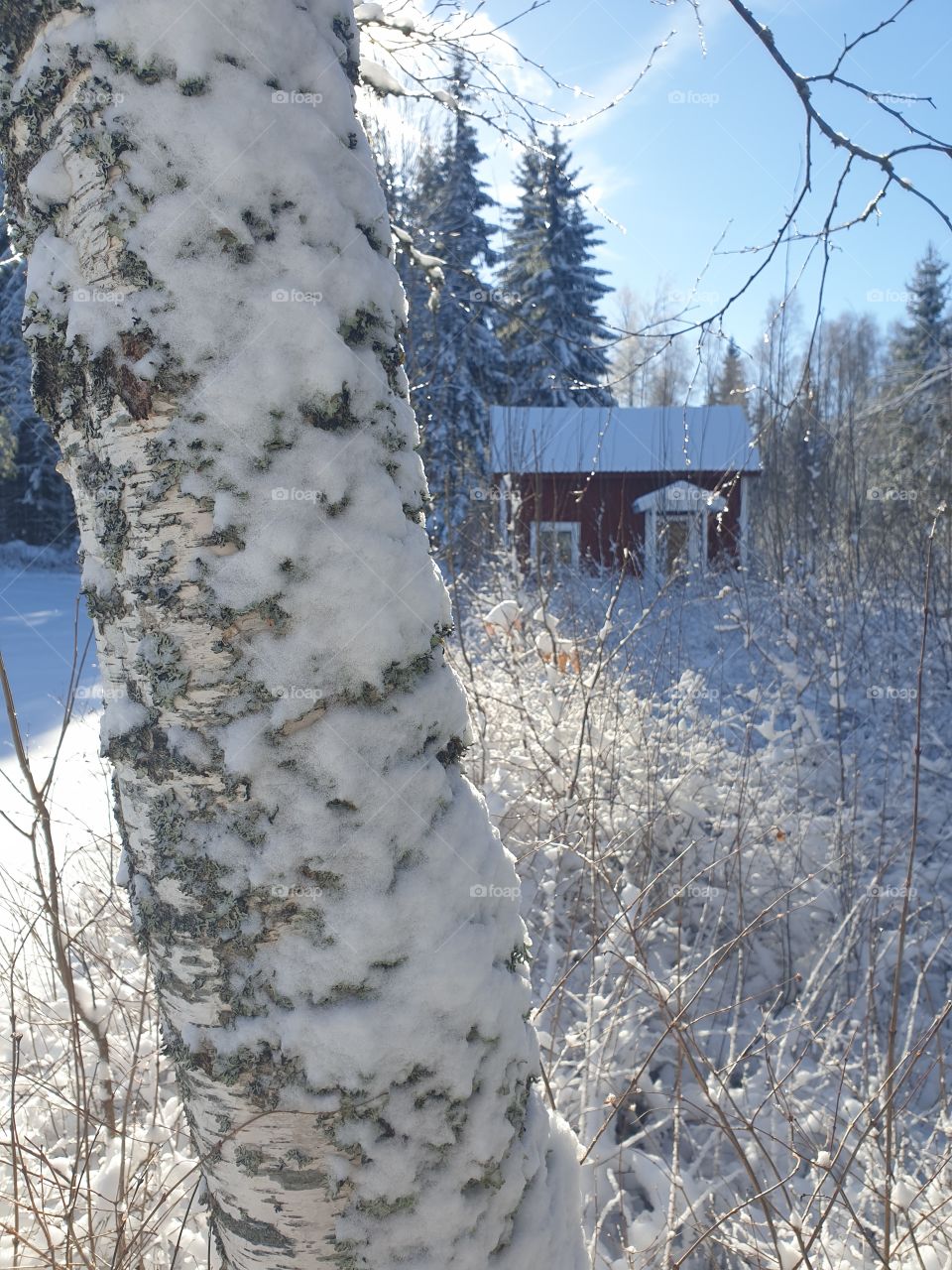 a small swedish cottage in the winter